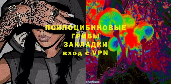 шишки Аркадак