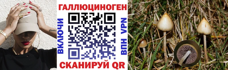 Псилоцибиновые грибы Psilocybine cubensis  OMG зеркало  Заречный 